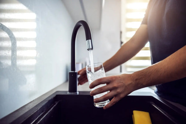 Can Drinking Water Help You Lose Weight? Here’s What You Need to Know