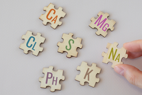 Extracting Nutritional Minerals from the Great Salt Lake: A Comprehensive Overview