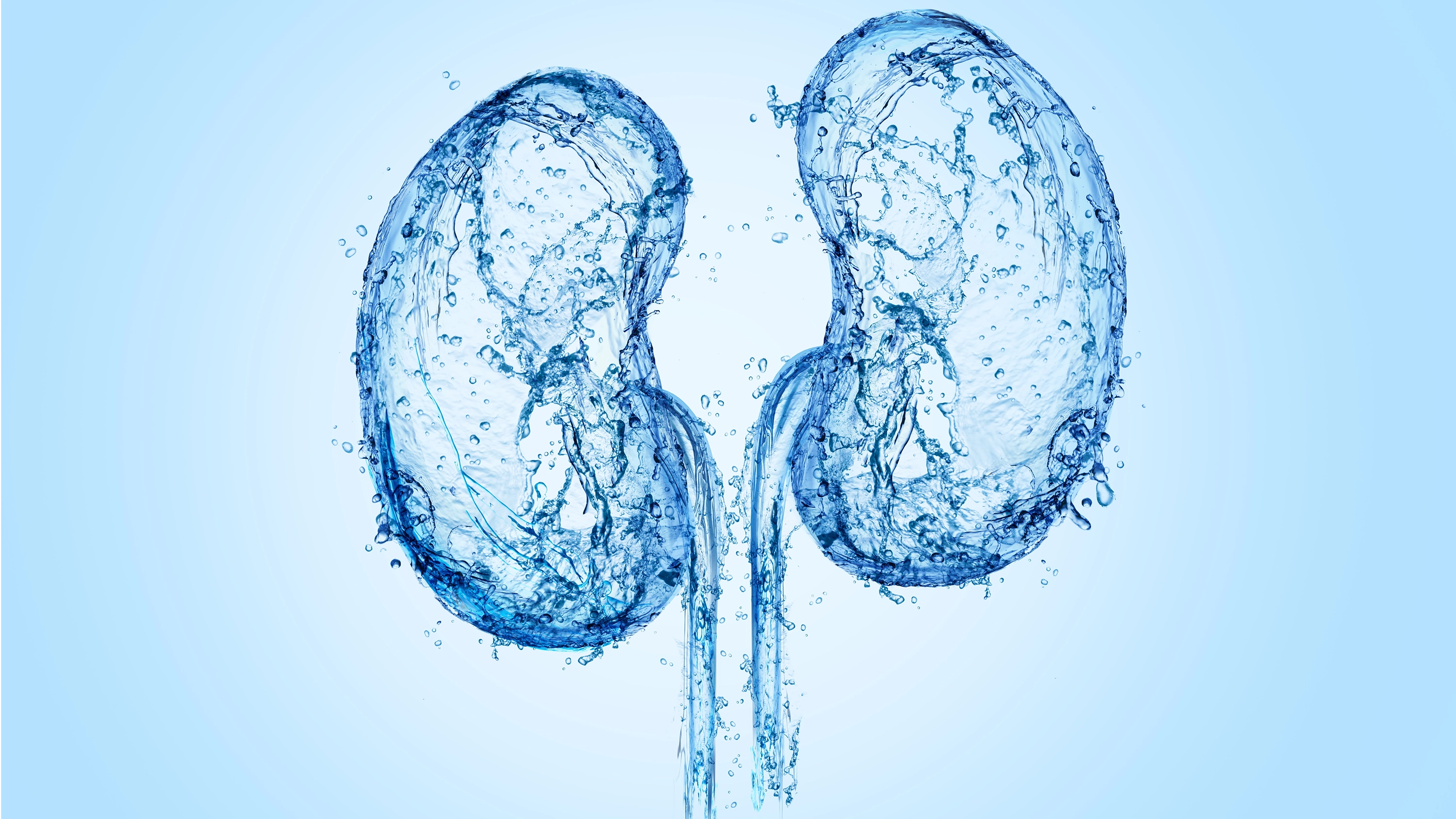 Hydration and Kidney Function: How Water Supports Your Body's Filtration System – ION8
