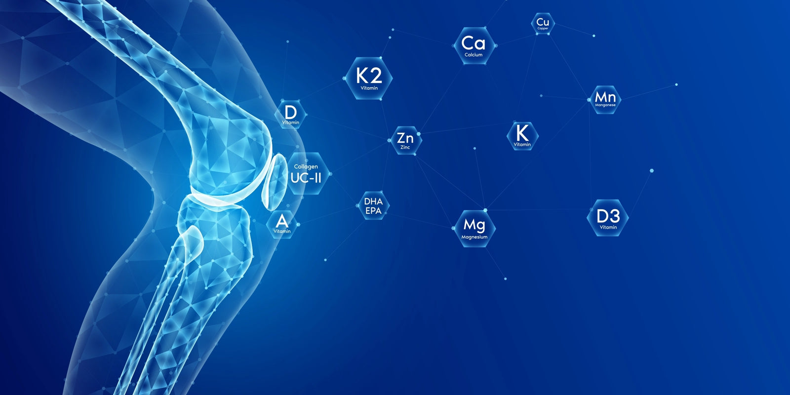 The Link Between Hydration and Immune Function: Boost Your Health with Proper Hydration