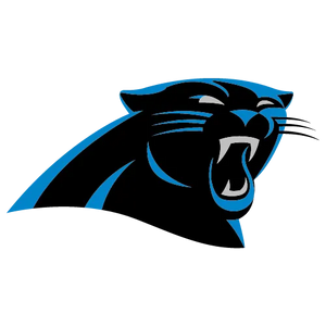 Carolina Panthers Bottles