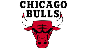 Chicago Bulls Water Bottles | ION8 x NBA