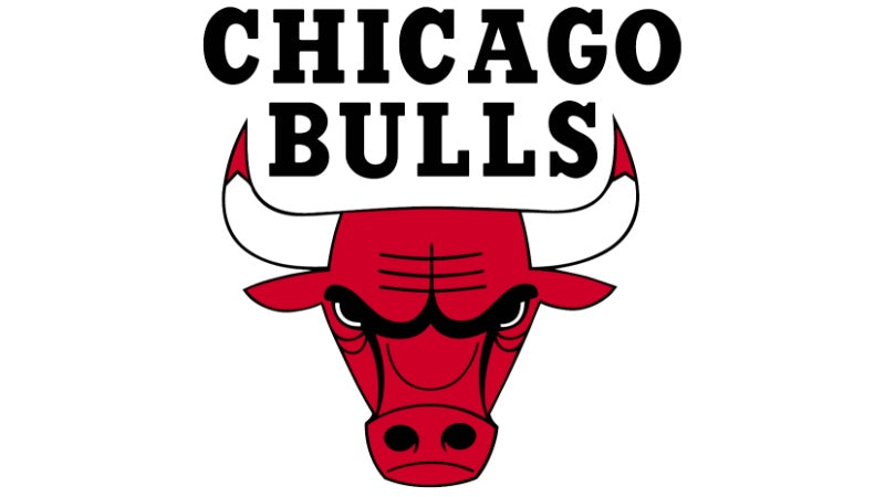 Chicago Bulls Water Bottles | ION8 x NBA