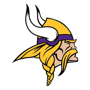 Minnesota Vikings Bottles