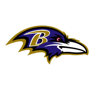 Baltimore Ravens Bottles