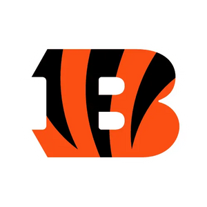 Cincinnati Bengals Bottles