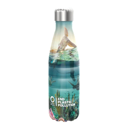 Friends Of The Earth Steel Water Bottle, Vacuum Insulated, Turtles, 500ml - ION8