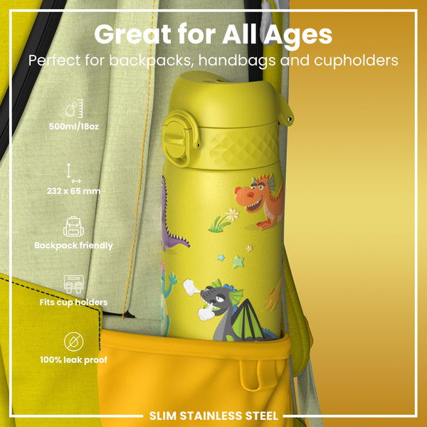 Leak Proof Slim Water Bottle, Stainless Steel, Dragons, 600ml (20oz)