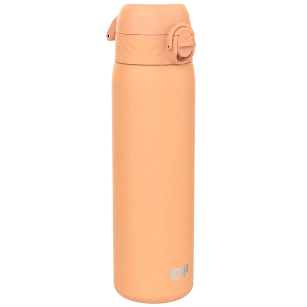 ION8 Insulated Steel Water Bottle, Leak Proof, Dishwasher Safe, 500ml (17oz)